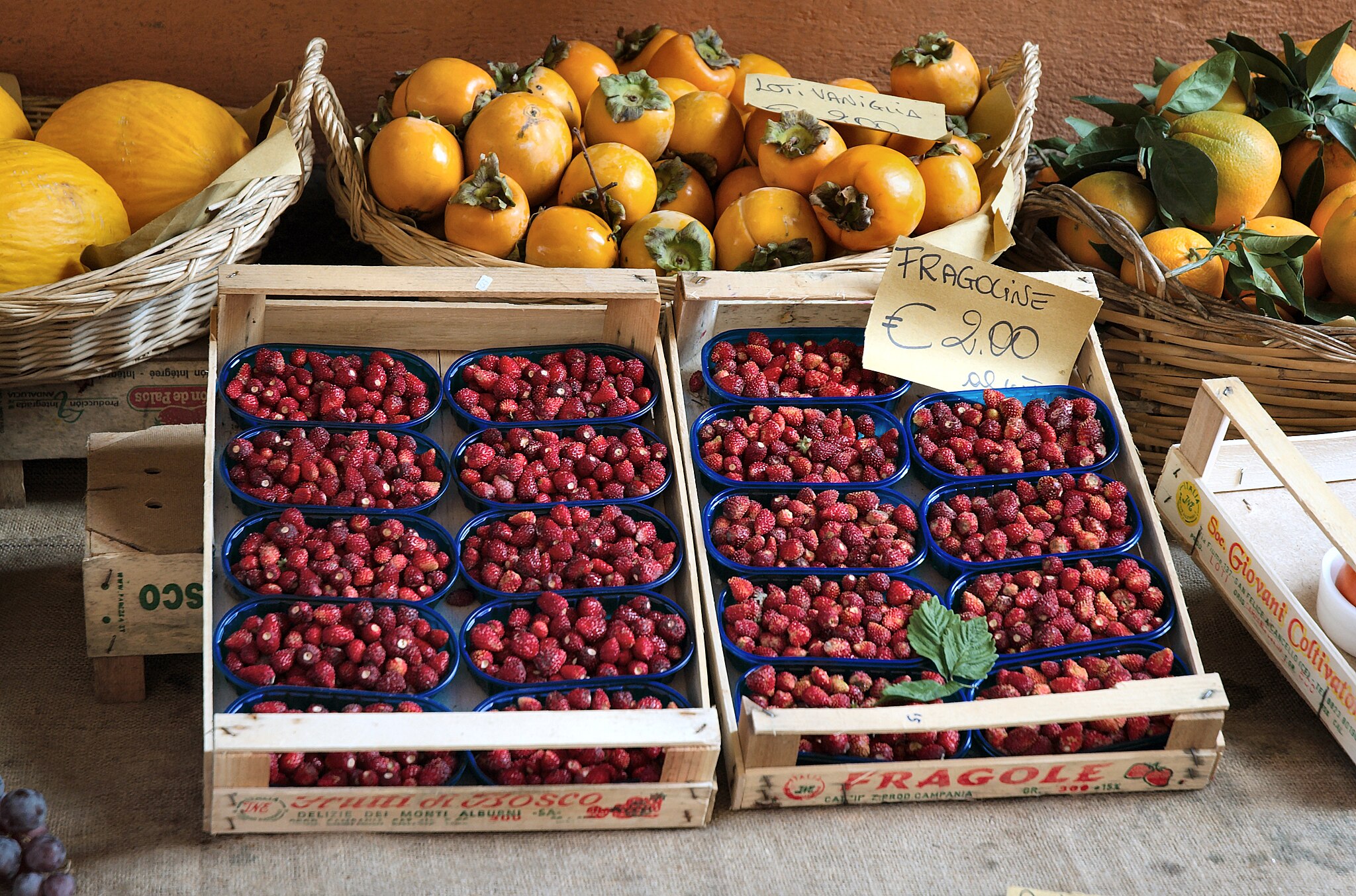 Mercati di Frutta e Verdura a Bologna: i rionali e i contadini |  fruitGourmet